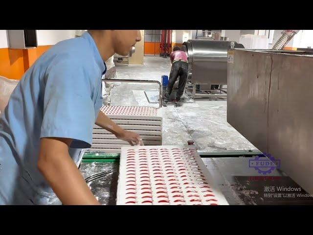 Starch/Mogul Line to make different typys of gummy candy#machine#machinefactory#candy#candy making