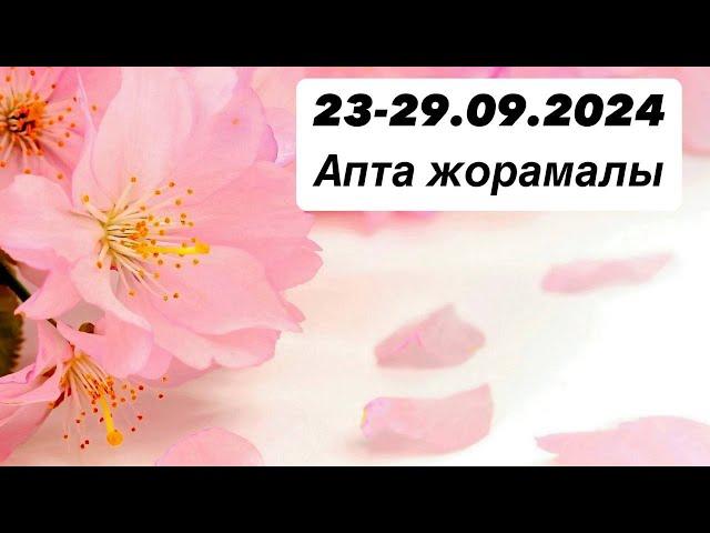 23-29.09.2024ж. Апта жорамалы