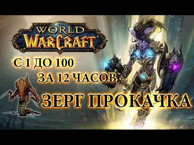 WoW - Прокачка с 1 до 100 за 12 часов