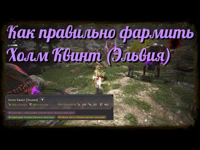 Black Desert / BD: Как правильно фармить Холм Квинт (Эльвия Кальфеон)