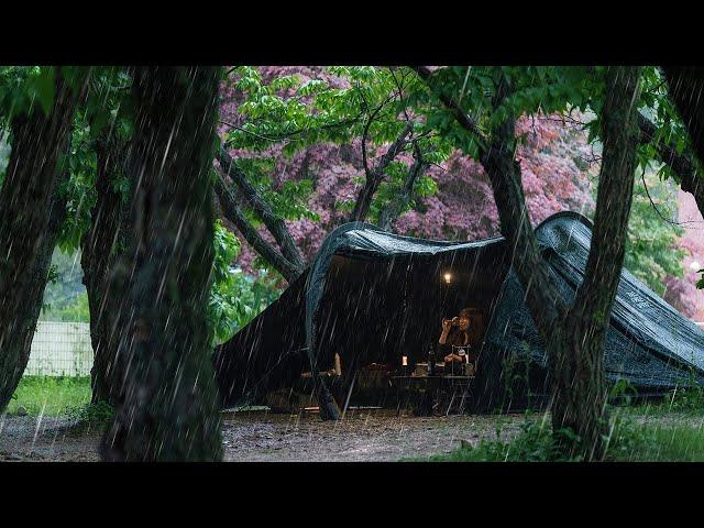 Solo camping in Heavy rain | in a tent all day listening to the sound of pouring rain | rain asmr