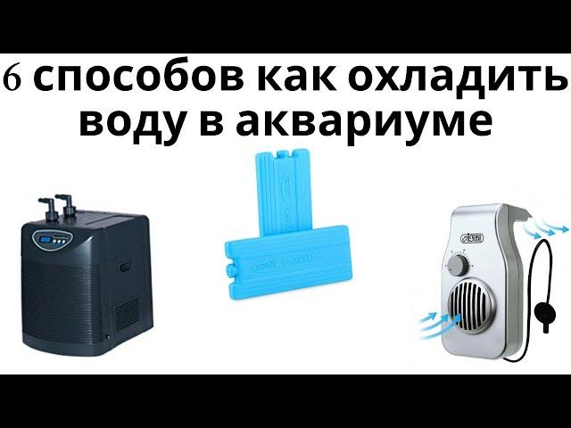 6 способов как охладить воду в аквариуме летом