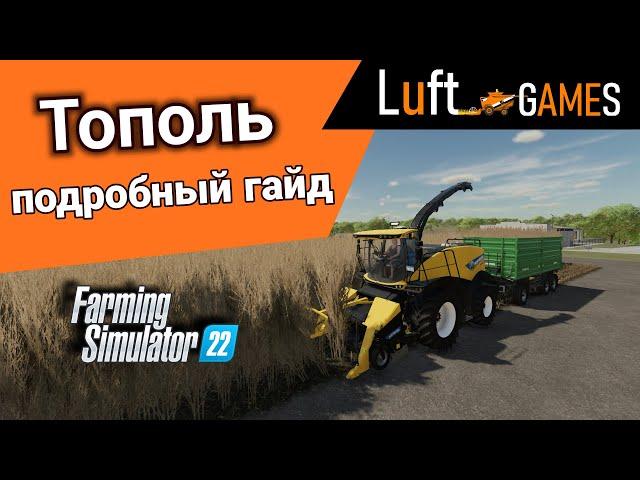 Тополь: выгода и особенности выращивания | Farming Simulator 22