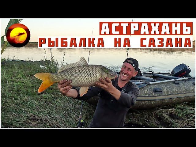 Астрахань! ТЕРРИТОРИЯ САЗАНА / Один на Идеальной Рыбалке