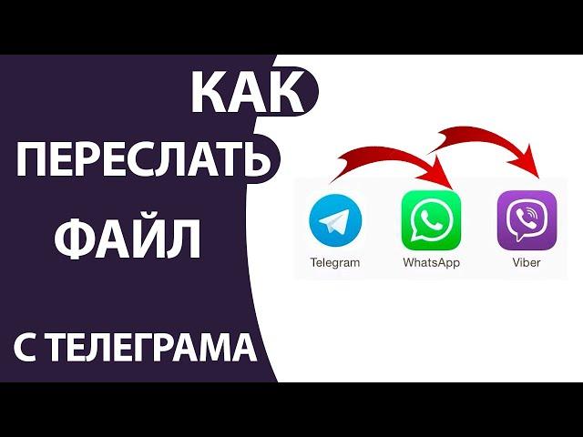 Как переслать Фото, Видео С Телеграма в Viber или WhatsApp на Айфон или Андроид