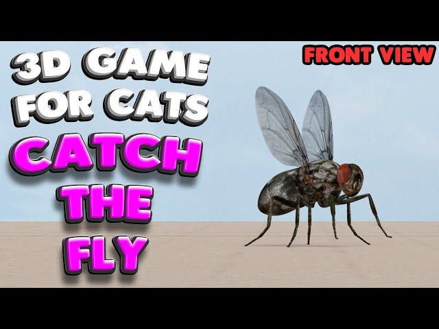 3D game for cats | CATCH THE FLY (front view) | 4K, 60 fps, stereo sound