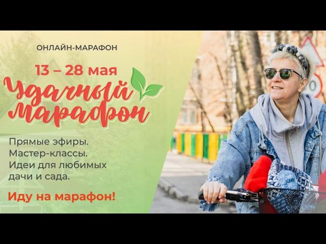 День первый | Удачный марафон с онлайн-школой рукоделия "Шкатулочка"