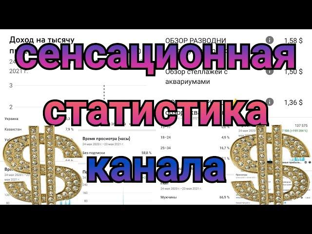 Статистика канала, какой доход приносит Ютуб, кто смотрит мой канал, сколько стоит 1000 просмотров