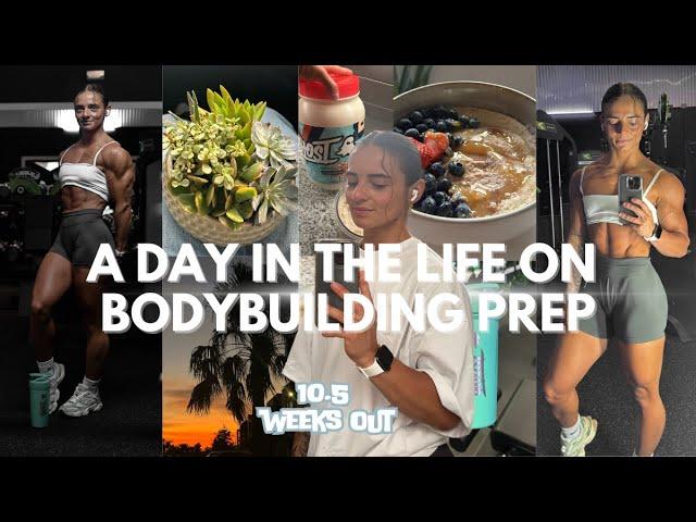 prep series: a day in the life on prep🪴