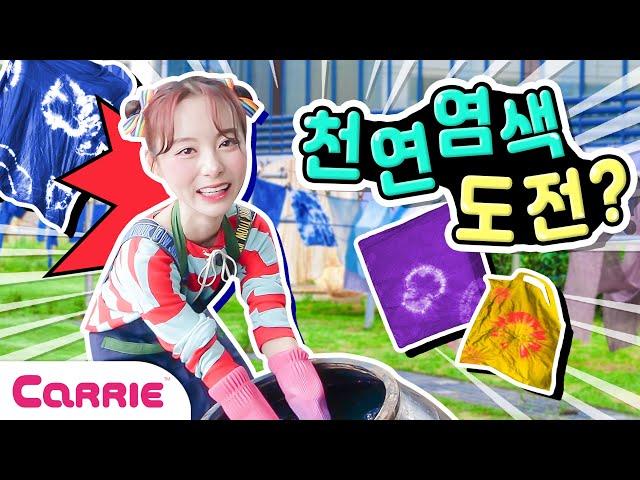 알록 달록 생애 첫 천연염색 도전?!ㅣFirst natural dyeing challenge in your life?!ㅣ달려라캐리