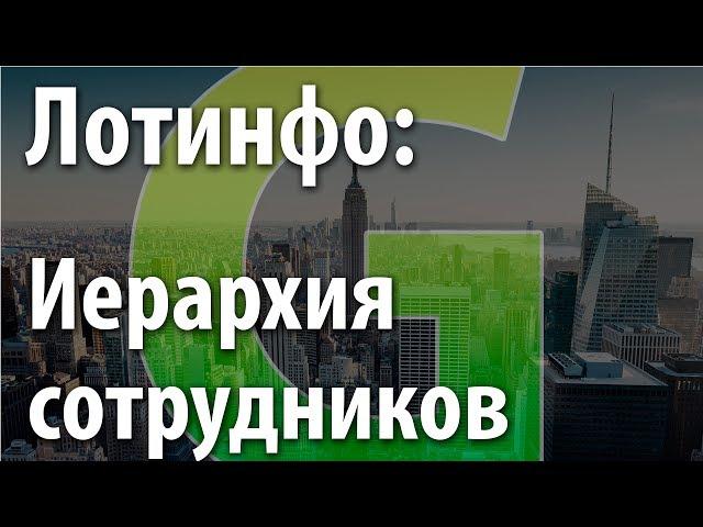 Иерархия сотрудников в ЦРМ Лотинфо