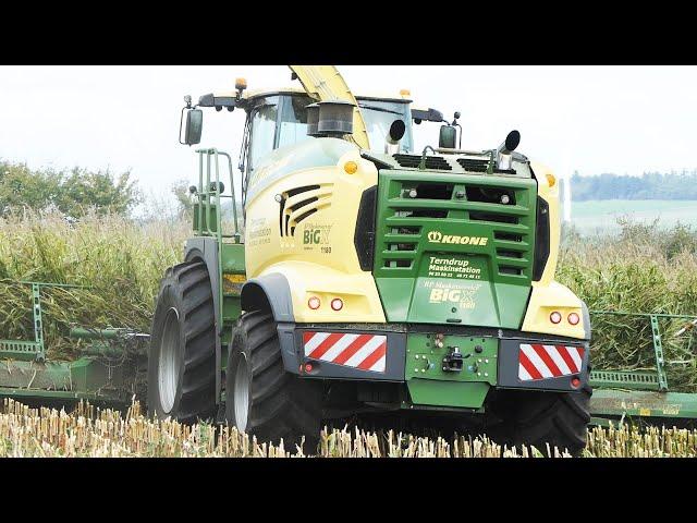 Krone Big X 1180 w/ 14-row header in the field chopping corn | World's Biggest Forage Harvester