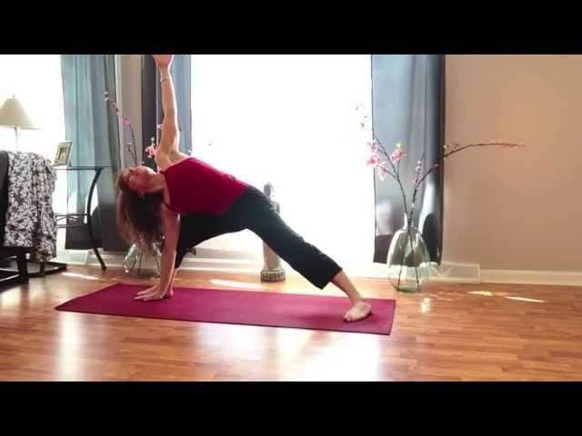 Beginner Yoga- Shanti Yoga & Fitness