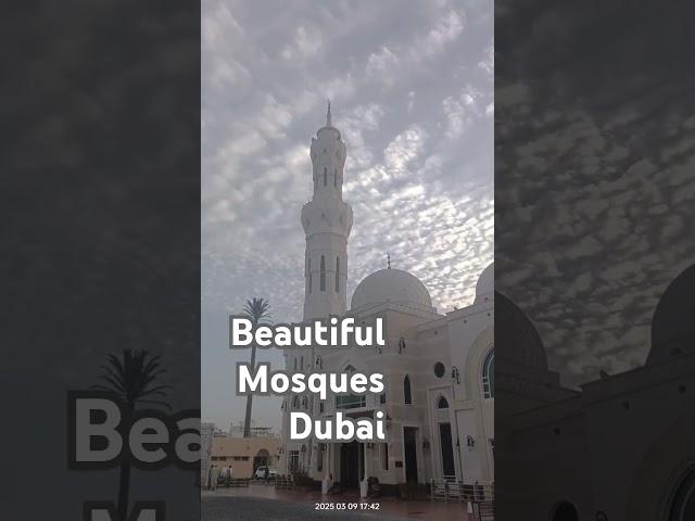 TOP Beautiful Mosques Dubai! #আধুনিক #মসজিদ #Beautiful #Mosques #Dubai