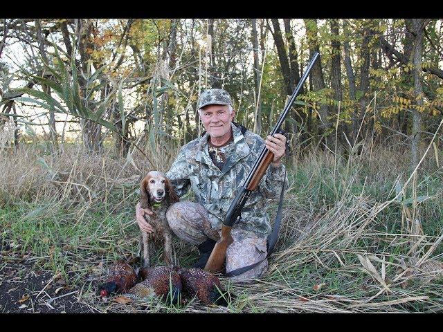 ОХОТА НА ФАЗАНА. Pheasant hunt 2019