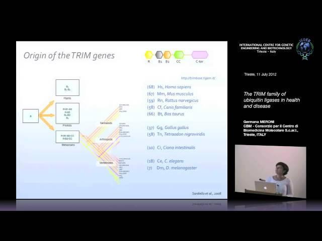 G. Meroni - The TRIM family of ubiquitin ligases in health and disease