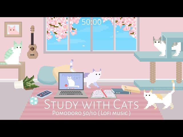 Study with Cats  Pomodoro Timer 50/10 | Relaxing lofi x Animation | Cherry blossom edition 