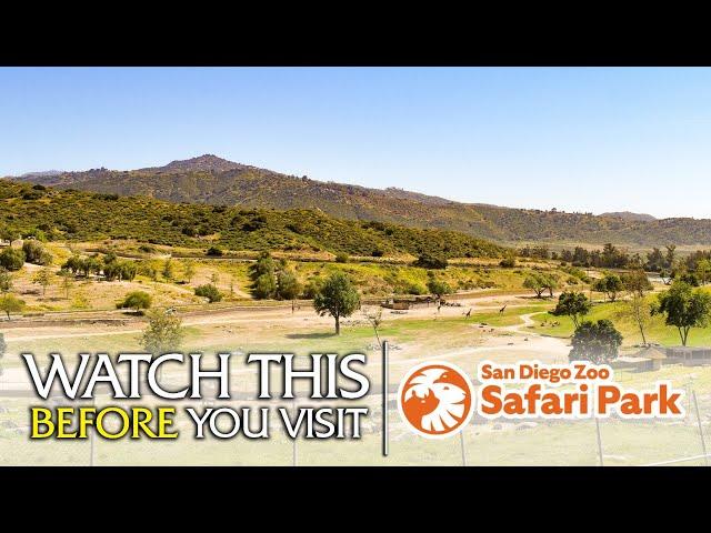 The Beginner's Guide to the San Diego Zoo Safari Park