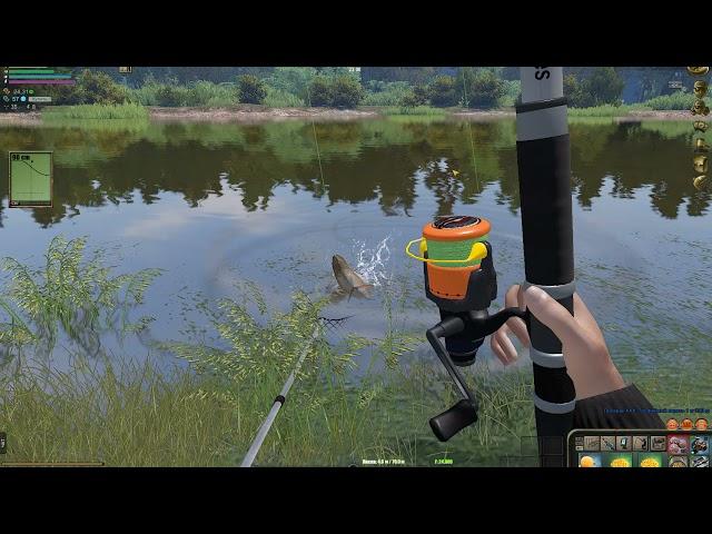 Atom Fishing 2.Карасиный пруд.Ловля карпа