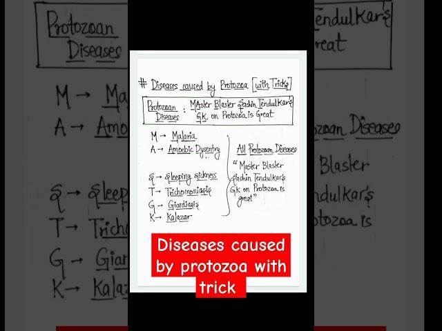 diseases caused by protozoa with trick #biologytricks #science #disease #youtubeshorts