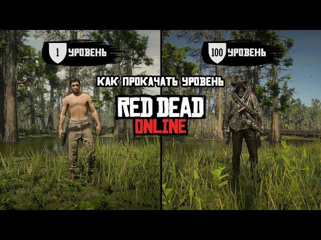 КАК БЫСТРО ПРОКАЧАТЬ УРОВЕНЬ В Red Dead Online! ЛУЧШИЙ СПОСОБ ПОДНЯТЬ УРОВЕНЬ Red Dead Redemption 2!