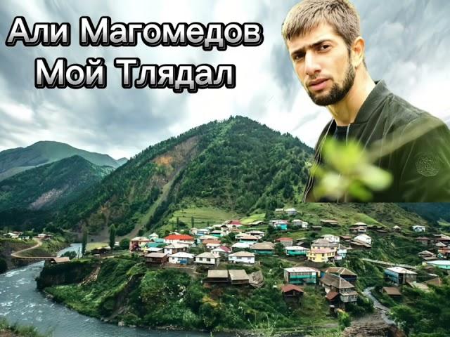 Али Магомедов / Мой Тлядал / #нашид #алимагомедов #Тлядал