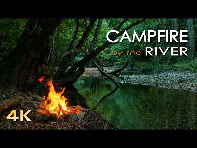 4K Campfire by the River - Relaxing Fireplace & Nature Sounds - Robin Birdsong  - UHD Video - 2160p