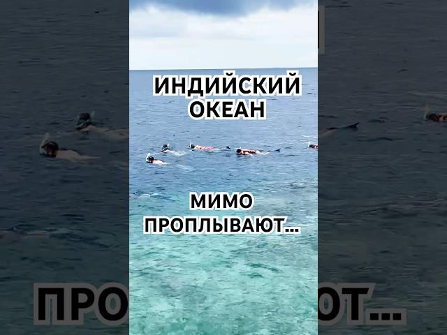 Индийский Океан  ‍️ Мимо проплывают #мальдивы