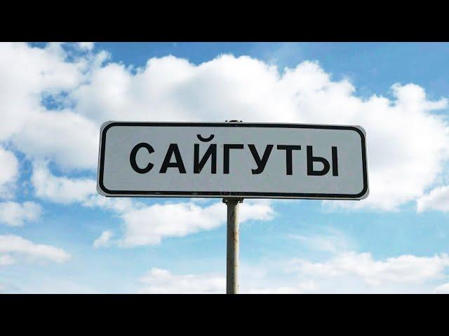 Сайгуты. Иркутская область