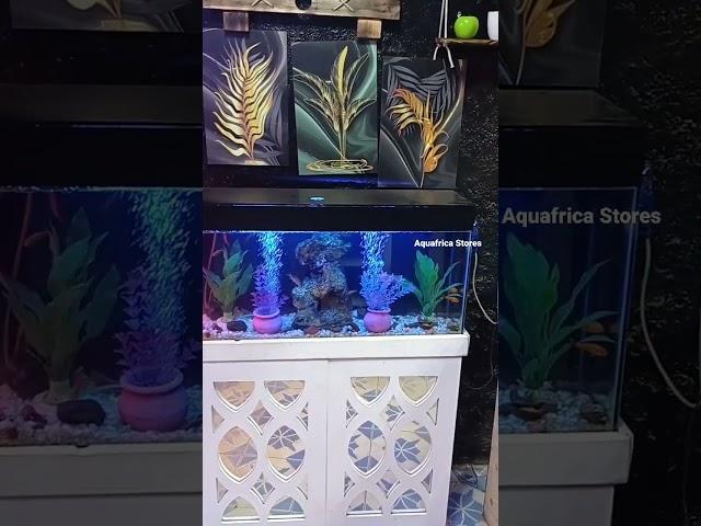 3Feet size Complete setup Aquarium with accessories.              Reach us 0717687099.