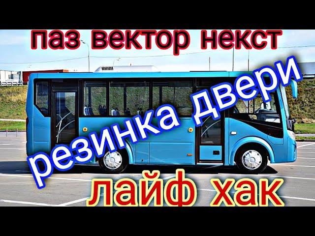 ПАЗ ВЕКТОР НЕКСТ вырвало резинку двери.