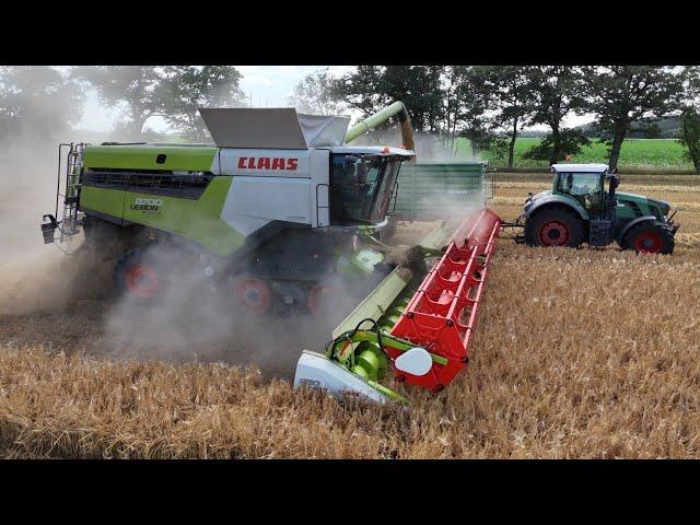 CLAAS LEXION 8700TT am Gerste dreschen / Abfahrer FENDT 828 / Ernte 2024 / 4K