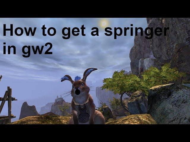 How to get a springer in gw2