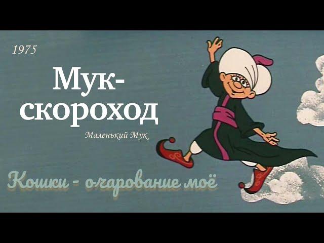 Мук - скороход. Кошки - очарование моё.