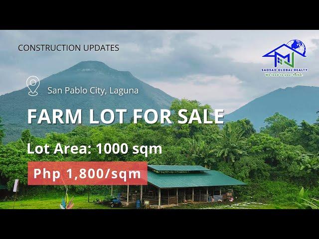 MURANG FARM LOT SA LAGUNA | FARM LOT FOR SALE | CONSTRUCTIONS UPDATE | AGRICULTURAL LOT