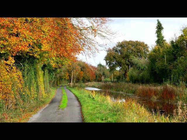 Relaxing sounds of Irish country side, windy, canal, autumn. Sleep Meditation Yoga HQ STEREO NO ADS!