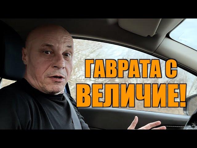 ГАВРАТА С ВЕЛИЧИЕ!