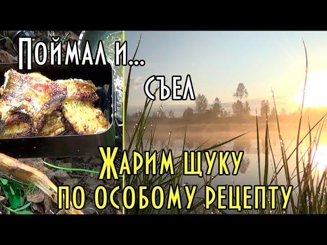 Жареная рыба по оригинальному и простому рецепту. На рыбалке. Как щуку нарекли ОКОРОЧКАМИ