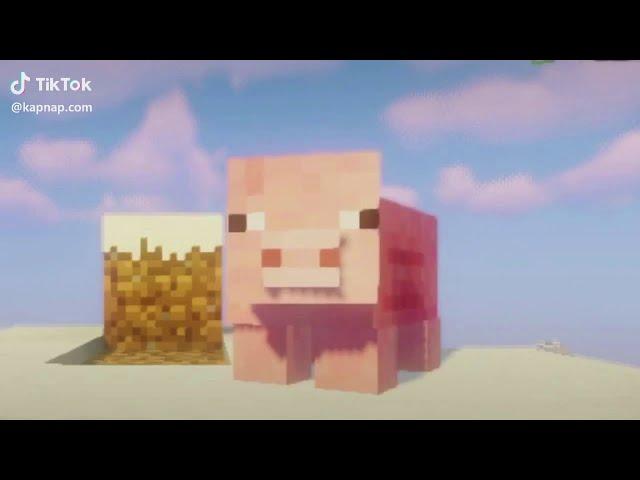 Minecraft Compilation TikTok (Buttercup - Jack Stauber)