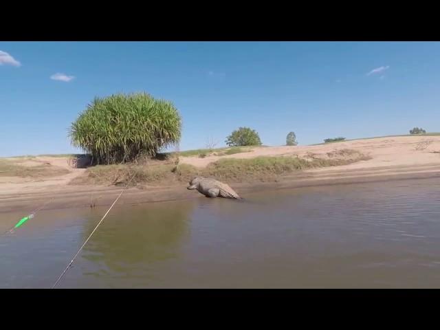 Giant Crocodile Encounter Scares Fishermen in Western Australia