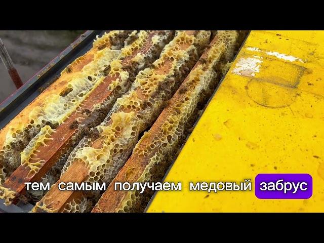 Что такое медовый забрус? Артикул на Ozon: 1138938539