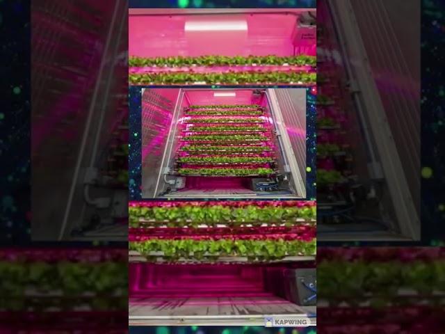 The vertical farm you need to know about | Cubic Farms