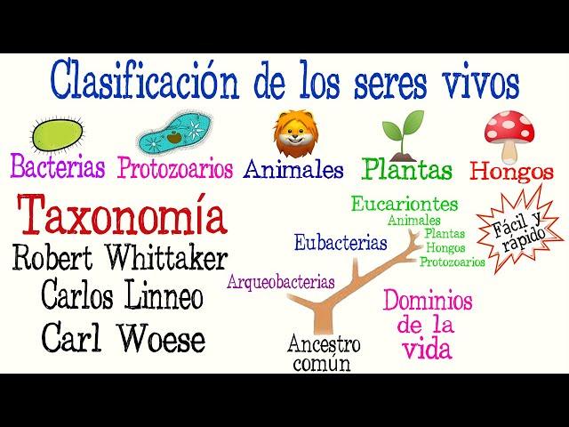 5 Reinos y 3 Dominios de la Vida | Clasificación de los seres vivos| [Fácil y Rápido] | BIOLOGÍA |