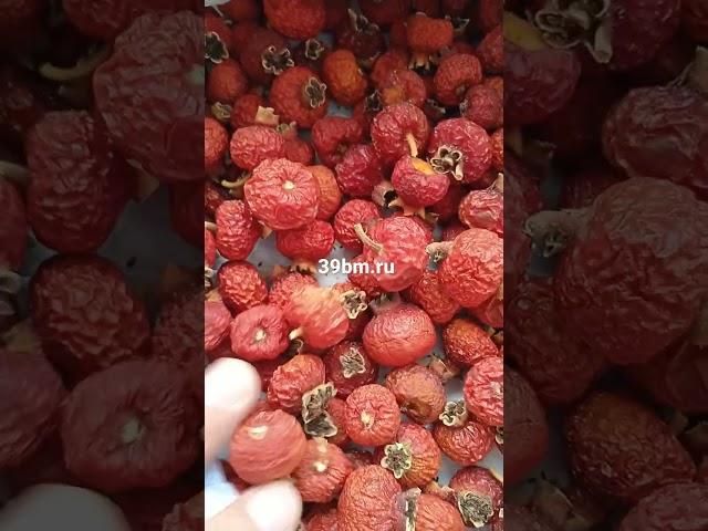 Шиповник сушеный #шиповник #сырьевойрынок #оптом #лекарственныетравы #бад #чай #россия