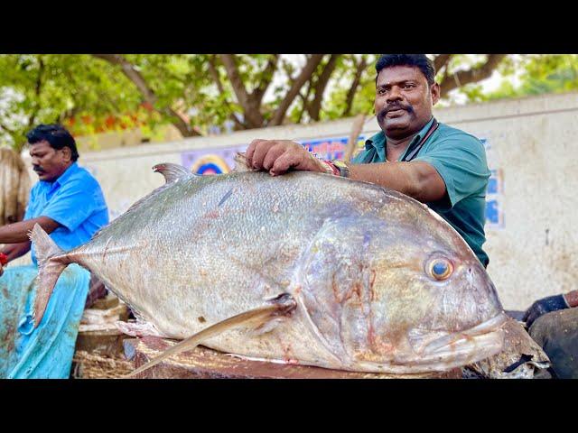 $95 Trevally Fish Cutting By Kasimedu Selvam | UK SONS MARINE