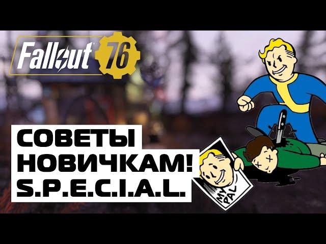 ВСЁ О СИСТЕМЕ S.P.E.C.I.A.L.! СОВЕТЫ НОВИЧКАМ! ️ FALLOUT 76