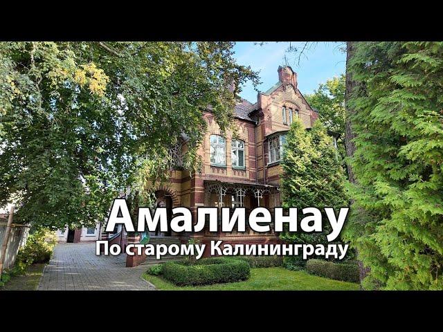 Район АМАЛИЕНАУ | Старый Калининград | Виллы Кенигсберга, парк Растхоф, проспекты Победы и Мира