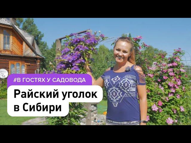 Сад и огород без химии в Сибири . Экскурсия по огороду мечты