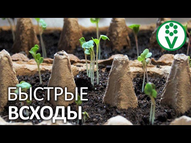 МОЖНО СЕЯТЬ НА 2 НЕДЕЛИ ПОЗЖЕ! Ускоритель для семян и рассады