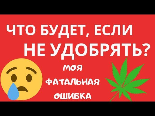 ЧТО ЕСЛИ НЕ УДОБРЯТЬ? | ЗАЧЕМ УДОБРЯТЬ КАННАБИС? | НУЖНО ЛИ УДОБРЯТЬ МАРИХУАНУ? | РАСТИМ АВТИКИ